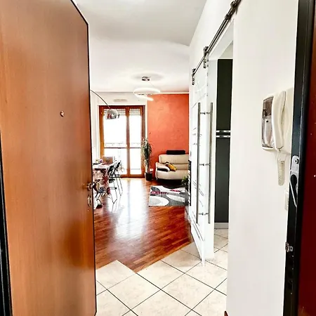 Steo's Place In