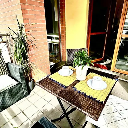 Steo's Place In *